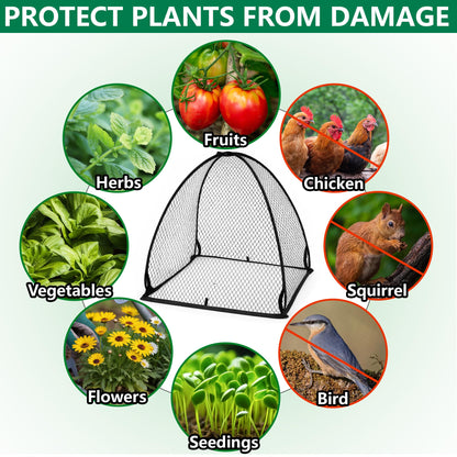DECOHS 2 Pcs Pop-Up Mesh Plant Cover Tent, 30 x 28 x 28 Inch Garden Net Cage Guard Cover, Plant Protector Enclosure with 12 Ground Stakes for Protecting Plants Vegetable Fruit from Birds Insects