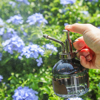 OFFIDIX Glass Plant Mister, 6.3 Inches Tall Vintage Style Spritzer Bronze Plastic Top Pump One Hand Watering Can Indoor Plant Spray Bottle for Garden, Plants, Cleaning (Distant Hill)
