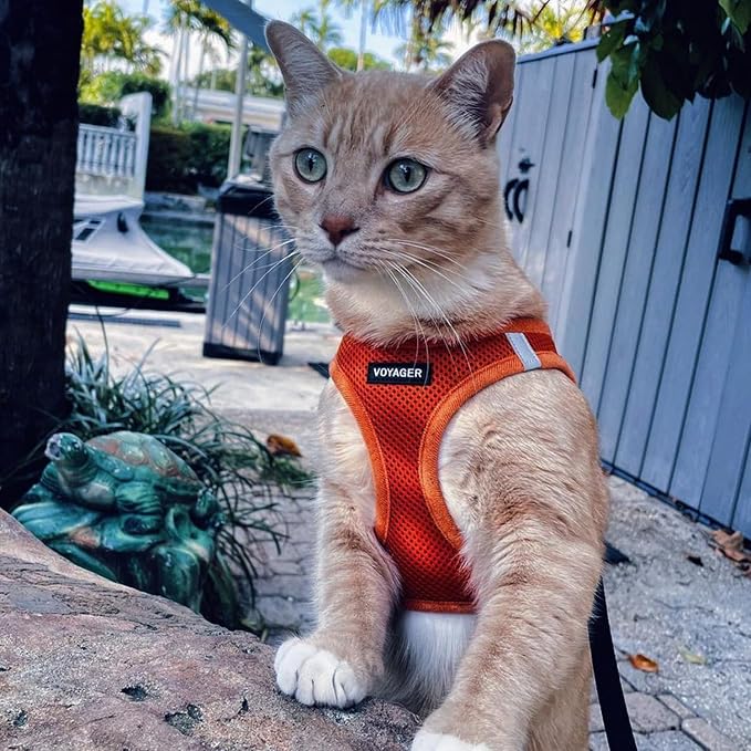Best Pet Supplies Voyager Step-in Air All Weather Mesh Harness and Reflective Dog 5ft Leash Combo with Neoprene Handle, for Small, Medium and Large Breed Puppies - Orange, XX-Small
