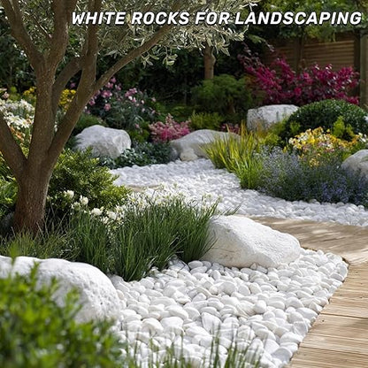 NUPICK 16lb White River Rocks for Outdoor Landscaping, 2-3 Inch Pebbles for Indoor Plants, Natural Polished Aquarium Gravel, Decorative Rocks for Succulent, Garden, Vases Fillers, Bird Baths