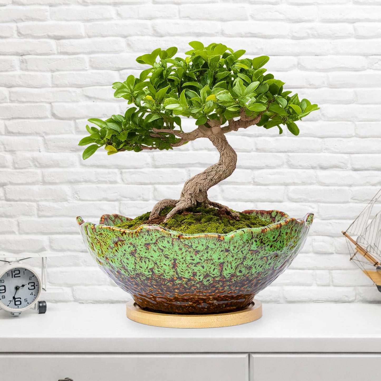 ARTKETTY Bonsai Pots, 9.06 Inch Succulent Pots with Drainage and Saucer, Ceramic Pots for Indoor Cactus Plants Unique Flower Plant Pots Round Bonsai Tree Planters Windowsill Desk Decor
