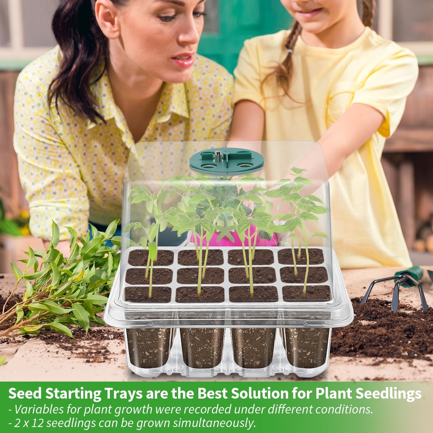 Qoolife Seed Starter Tray with Plant Light, 2 Pack Grow Lights for Seed Starting Kit with Humidity Domes, Timing Controller Adjustable Brightness for Greenhouse Propagator Station Growing Transparent