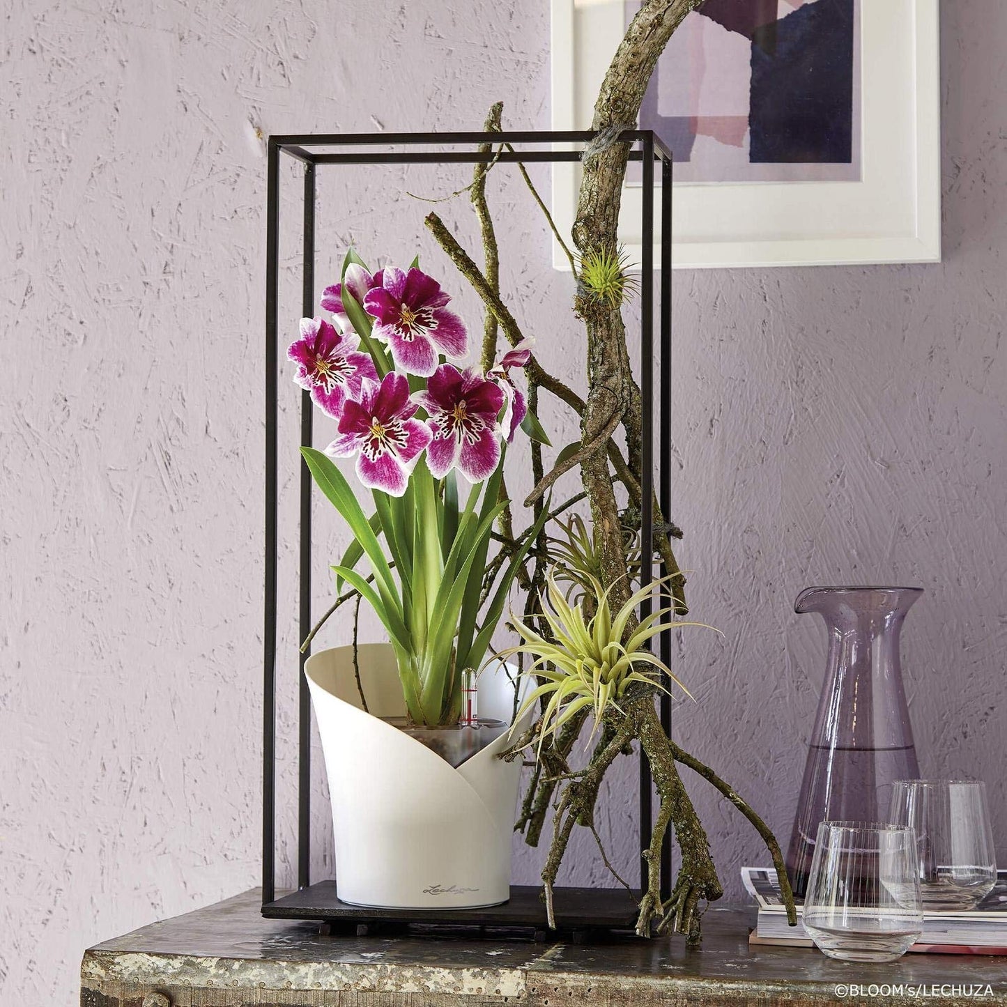 Lechuza Plant Pot, 13960
