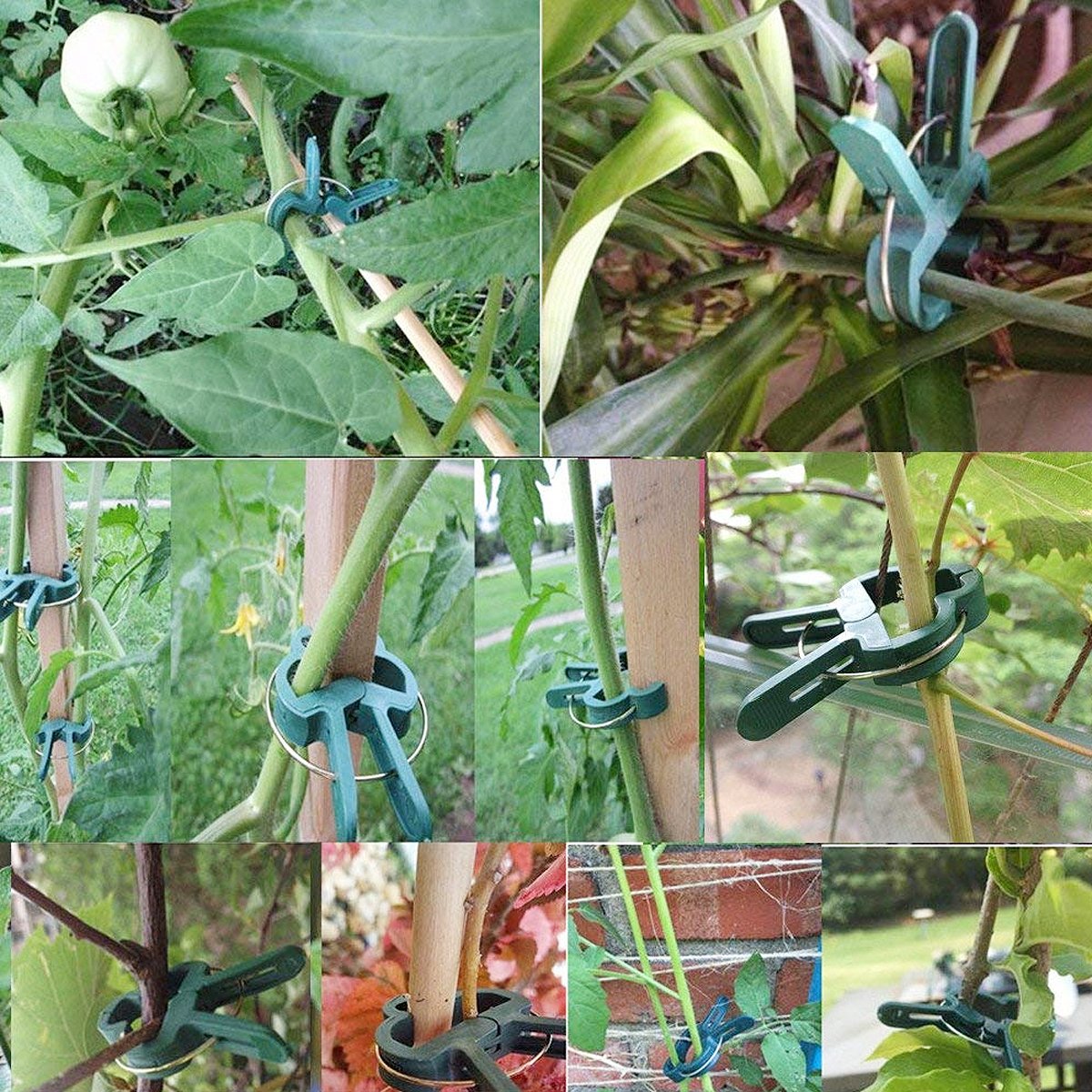 Unigift 120Pcs Re-Useable Large and Small Plant Support Clips Garden Plant Support Spring Clips Plastic Tree Shrub Tie Cane