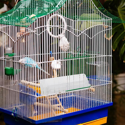 GANAZONO 2pcs Automatic Outdoor Bird Feeder Hanging Bird Seed Tray Anti-Splash Parrot Food Dispenser Suitable for Wild and Parakeets