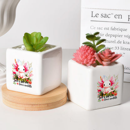BJDAMAI Axolotl Succulent Planter Flower Plant Pot Small, Gifts for Women Teens Girls Kids, Axolotl Lovers Themed Stuff Accessories Things Decor Merch, Home Office Table Desk Decoration!
