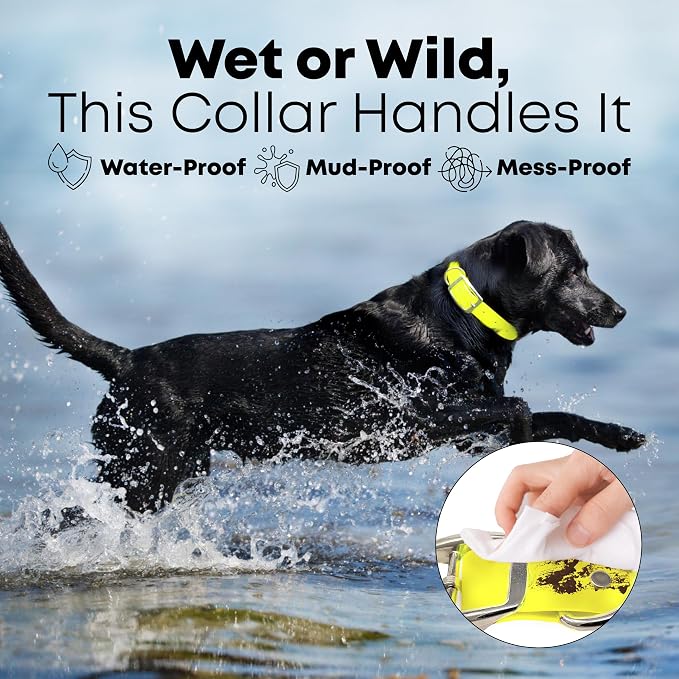 Regal Dog Products Medium Yellow Waterproof Dog Collar and Leash Set | Heavy Duty Double Buckle & D Ring - 5'ft Leash | Adjustable Biothane Dog Collar | Chew Resistant Waterproof Collar for Dogs