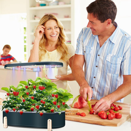 Indoor Garden Hydroponics Growing System12 Pods Plant Germination Kit Aeroponic Herb Vegetable Growth Lamp Countertop with LED Grow Light Hydrophonic Planter Grower Automatic Water Circulation (Green)