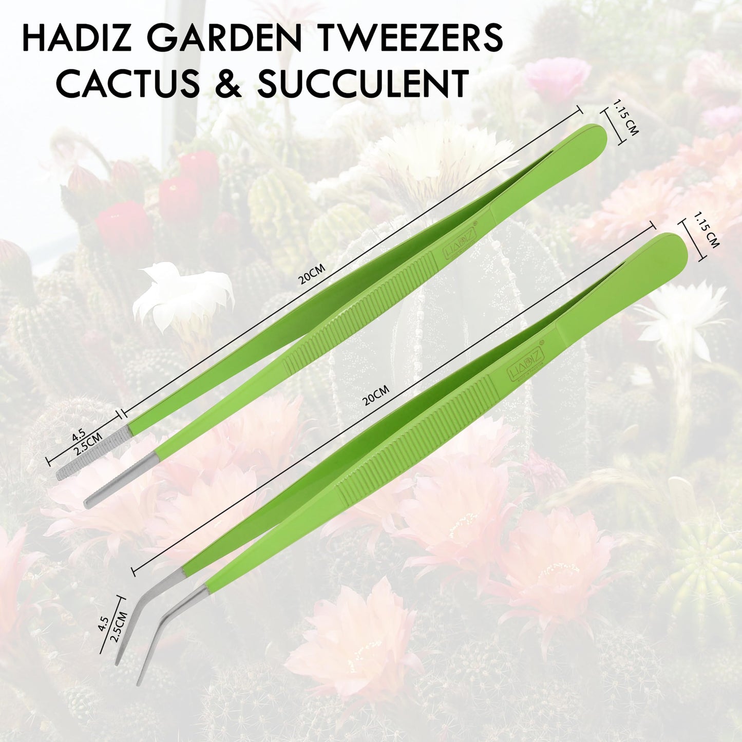 HADIZ Stainless steel Garden Tweezers Two Piece Set For Catus and Succulents 8 Inch Size (Straight & curved)