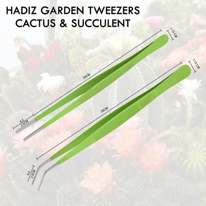 HADIZ Stainless steel Garden Tweezers Two Piece Set For Catus and Succulents 8 Inch Size (Straight & curved)