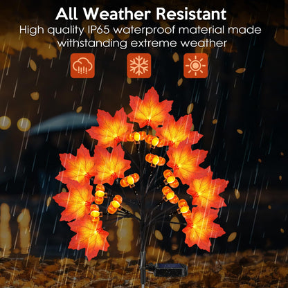 ReyeeInc Fall Solar Lights Outdoor, Solar Powered Fall Stake Lights with 20 Maple Leaf and 20 Pumpkin for Yard, Patio, Lawn, Garden, House, Home Outside Thanksgiving Harvest Decorations(2 Pack)