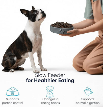 Slow Feeder Dog Bowls – 1.5-Cup Ceramic Dog Bowl Slow Feeder – Microwaveable Dog Slow Feeder for Small and Medium Dogs – Lead and BPA-Free Ceramic Pet Bowl – Pet Feeder for Fast Eaters