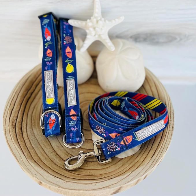 Lucky Love Dog - Easy Click Buckle Dog Collar with Leash Set Combo, Durable & Comfortable for Male & Female Dogs, Pet Collar for Small Dogs, Secure Fit - Mackey Combo, XS
