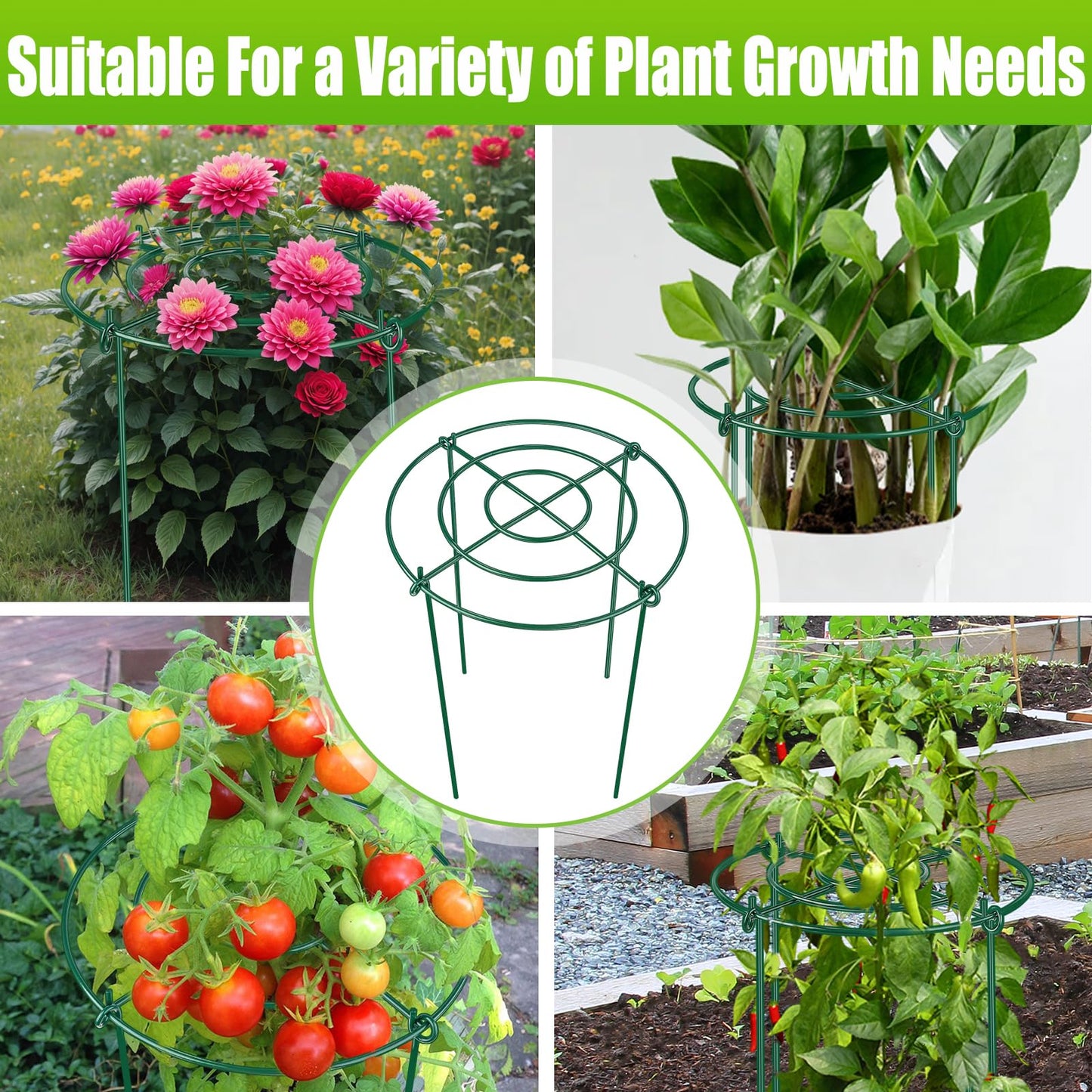 4 Pack Peony Cages and Supports, 11.5" Dx16 H Plant Supports for Outdoor Plants, Heavy Duty Metal Peony Support Cage Flower Support Rings, Plant Support Ring for Rose Tomato Hydrangea Strawberry