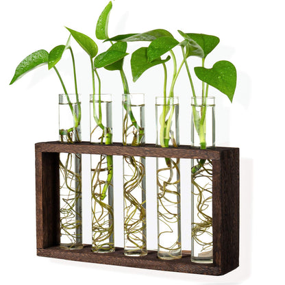 PACDONA 5 Tube Wooden Plant Propagation Station, Tabletop Glass Terrarium Holder for Cuttings Hydroponics, Home Office Desk Decor Gift for Women Mom Plant Lovers, Brown
