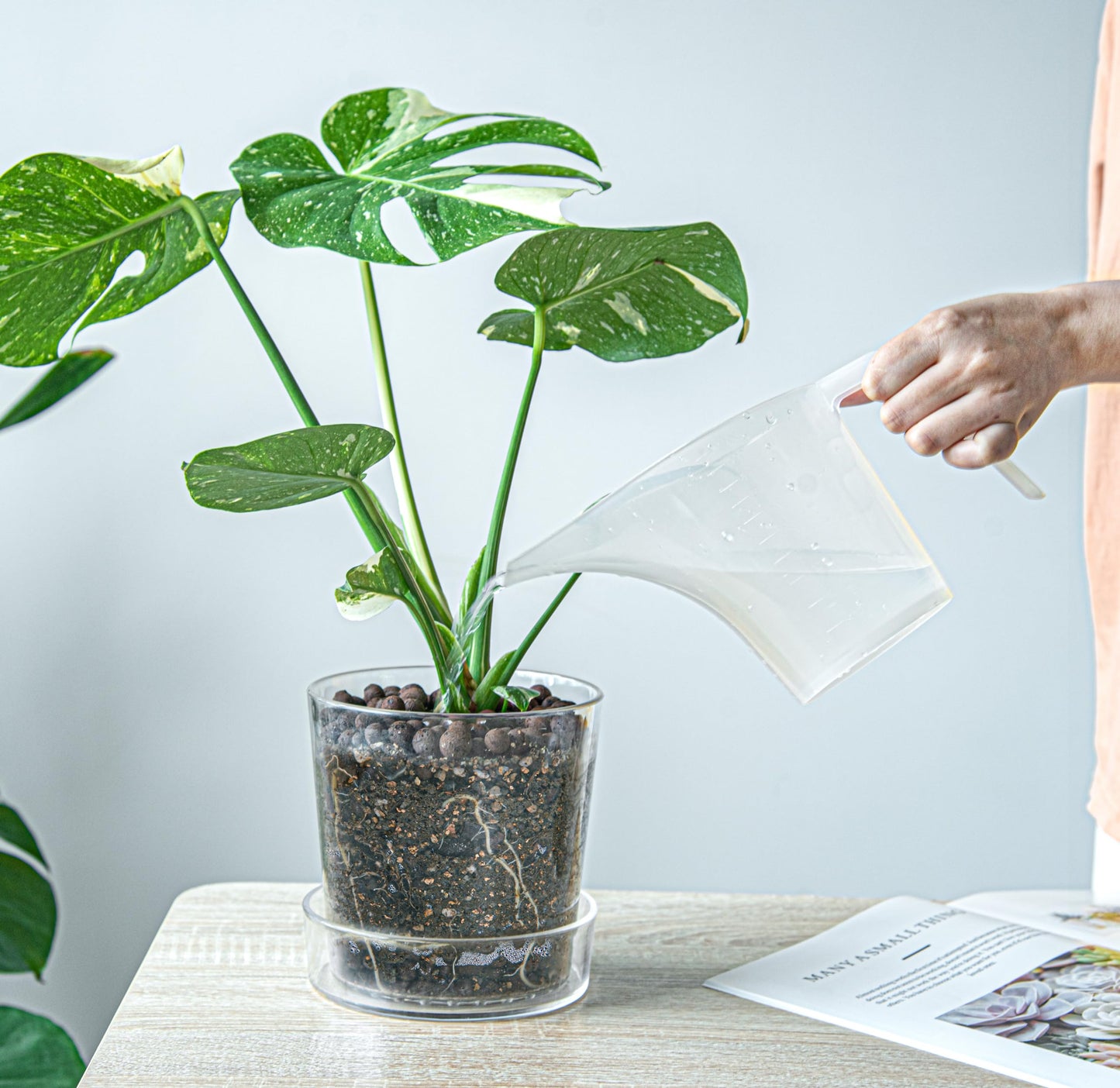 Phoenix Vine 6.5 Inch Clear Acrylic Planter Pot with Tray, Orchid Pot with Drainage Holes, Deep Saucer for Bottom Watering, Transparent Containers for Indoor Plants, Herbs, Set of 1, 91-A-F-1
