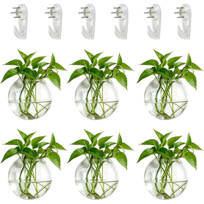 NUPTIO Wall Hanging Planter Terrarium: 4 Inch Glass Air Plant Holder 6PCS Propagation Indoor Floral Vase Flat Round Hydroponic Container Wall-Mounted Floating Pots for Bathroom Balcony Greenhouse