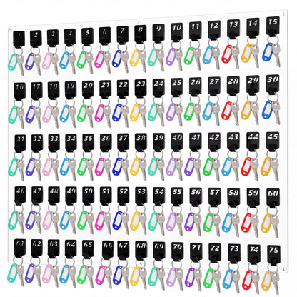 Beeveer Acrylic Key Board with 75 No. Hooks Wall Mount Key Rack Holder Hanger Storage Collection for School, Garage, Car Dealer, Office, Hotel, Real Estate(Transparent)