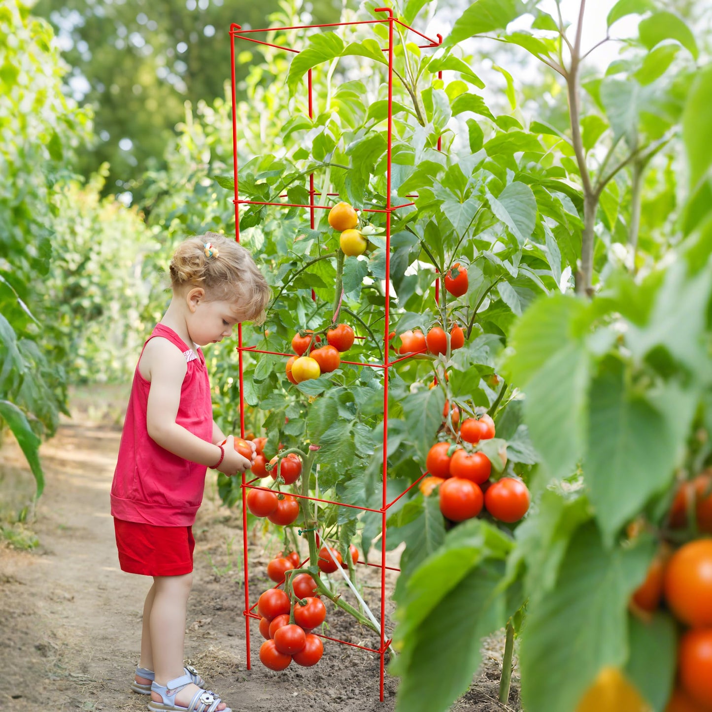 Thealyn Tomato Cages 6 Packs 57 Inches (H) Plant Stand with 164 Feet Twist Ties, Heavy Duty Garden Plants Support for Tomatoes, Cucumber, and Other Climbing Plants (Red)