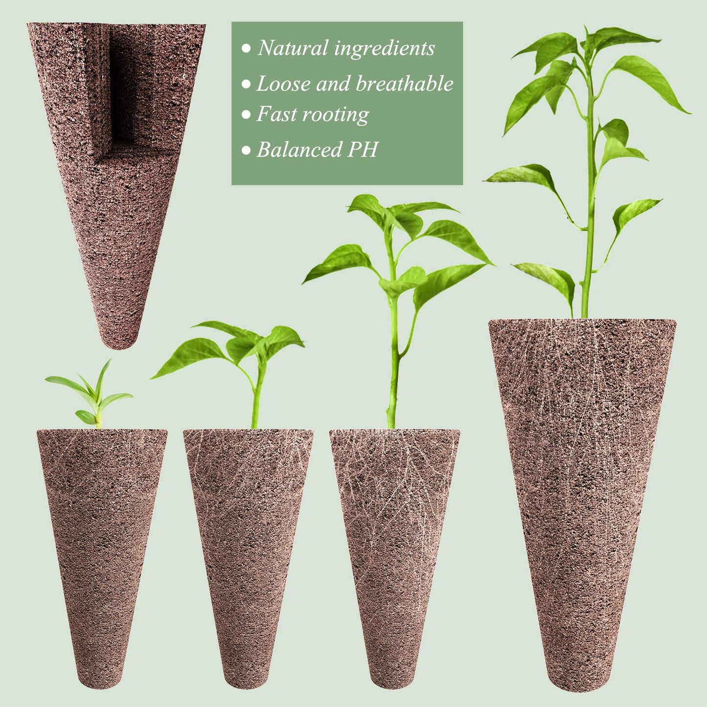 Tigvio 126 Piece Hydroponic Pods Kit: Grow Anything with 30 Grow Sponges, 30 Baskets, 30 Domes, 30 Labels, 4 A&B Plant Food, 1 Tweezer - Compatible with All Hydroponics Brands