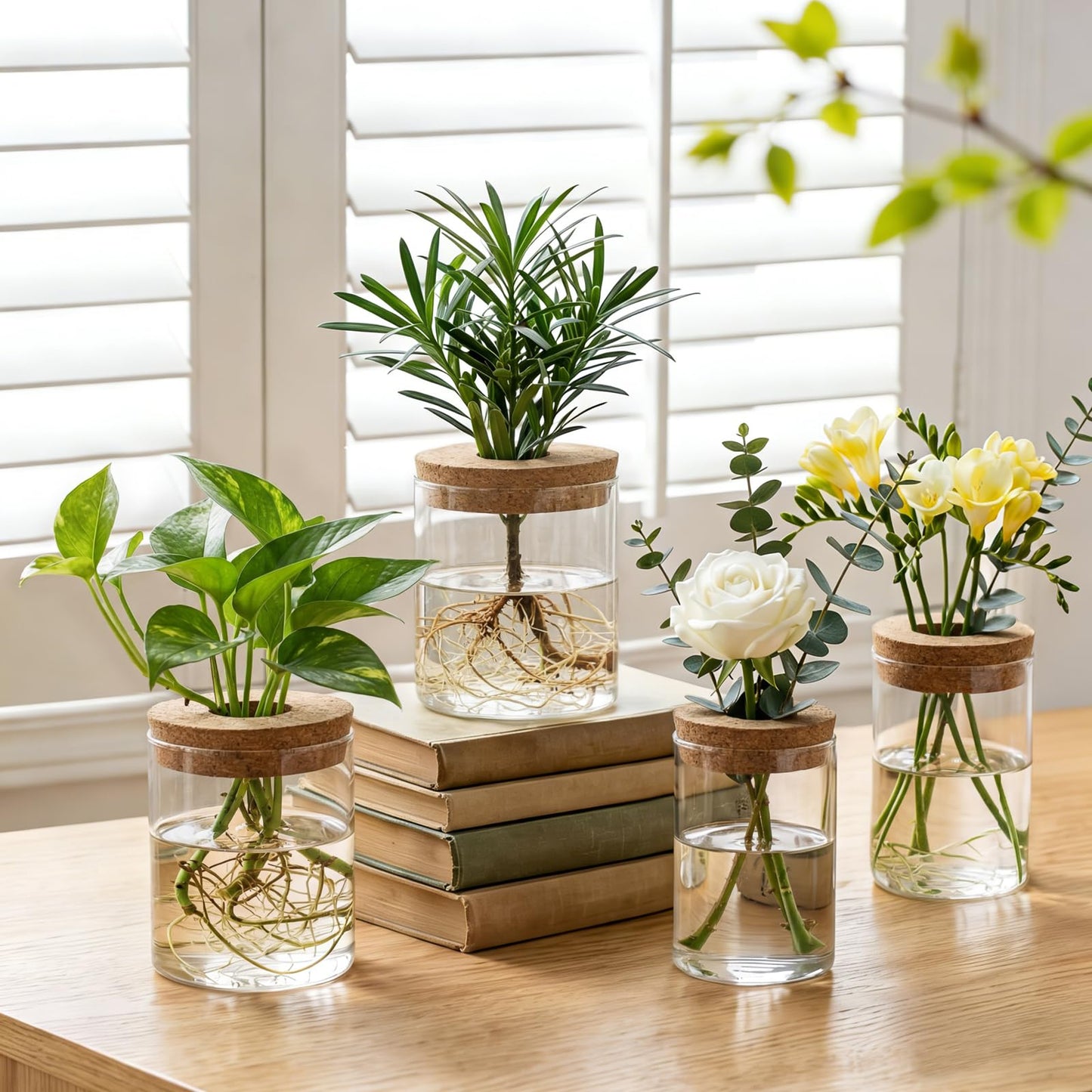 Dahey 4Pcs Glass Plant Propagation Stations Desktop Propagation Vases for Plants, 2 Large Planters Jars & 2 Small Pots Vases for Indoor Hydroponic Plant Cuttings, Living Room Home Office Bedroom Decor