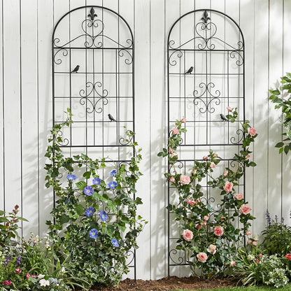 Garden Trellis for Climbing Plants Outdoor, Maidapulu 2 Pack 70.8x19.6 Inch Black Metal Trellis - Rustproof Lattice Support Panel with Easy Assembly for Roses, Clematis, Cucumbers, Vegetable Garden