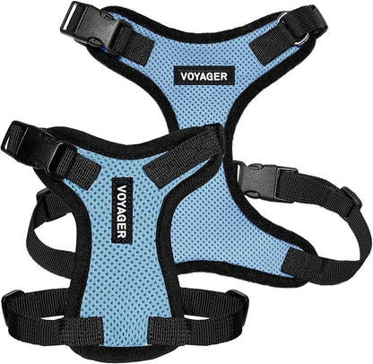 Voyager Step-in Pet Harness - All Weather Mesh, Adjustable Step in Harness for Cats and Dogs by Best Pet Supplies - Baby Blue/Black Trim, M