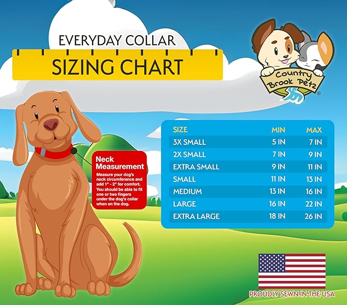 Country Brook Petz - Everyday Nylon Dog Collar and Leash - 10+ Cool Colors (3/8 Inch, 3XS, Purple)