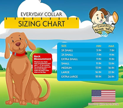 Country Brook Petz - Everyday Nylon Dog Collar and Leash - 10+ Cool Colors (3/8 Inch, 3XS, Purple)