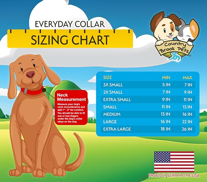 Country Brook Petz - Everyday Nylon Dog Collar and Leash - 10+ Cool Colors (3/8 Inch, Extra Small, Ocean Blue)