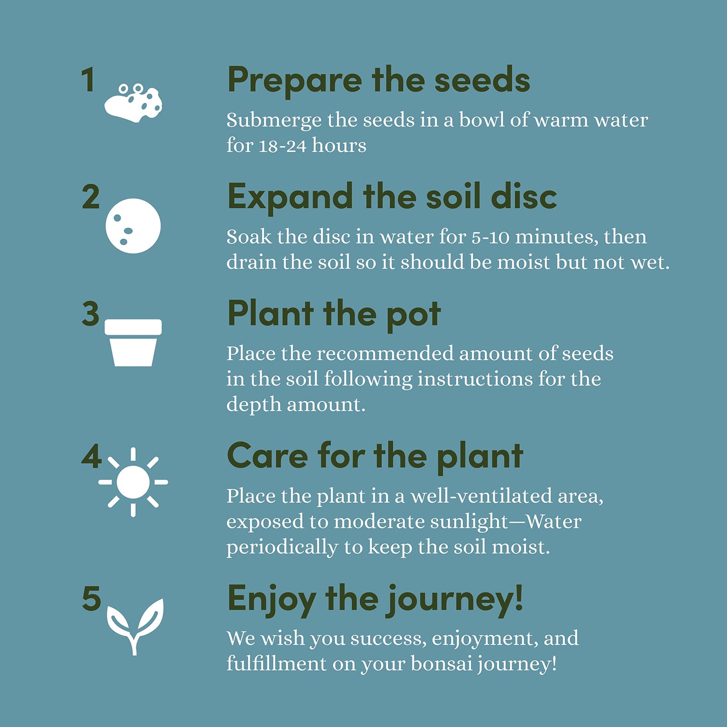 Planter's Choice Bonsai Tree Kit for Beginners & Plant Lovers - Grow Your Own Bonsai from Seed, 4 Species Starter Kit with Burlap Pots, Shears, Soil Disc, Markers & Guide, Gift for Mom or Grandma