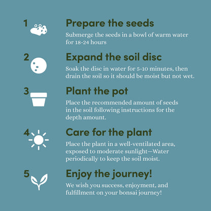Planter's Choice Bonsai Tree Kit for Beginners & Plant Lovers - Grow Your Own Bonsai from Seed, 4 Species Starter Kit with Burlap Pots, Shears, Soil Disc, Markers & Guide, Gift for Mom or Grandma