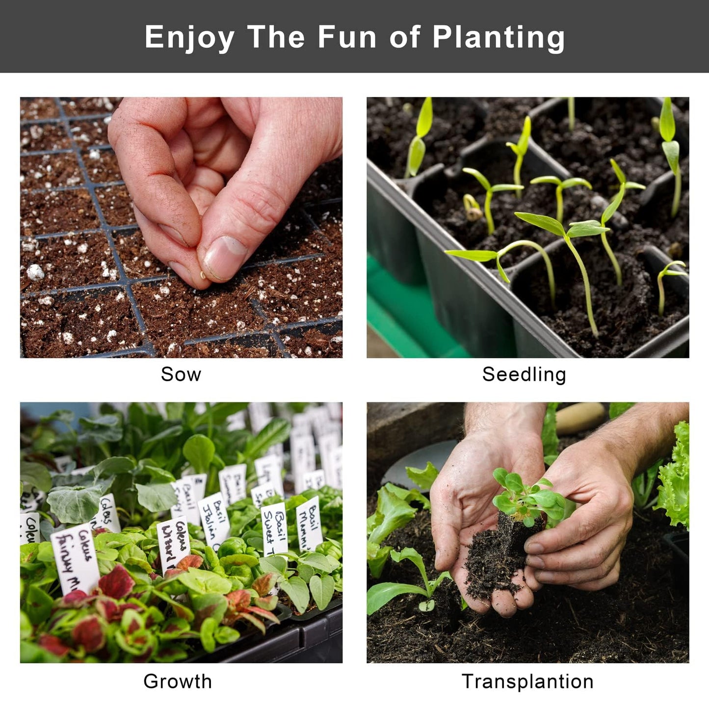 Elcoho 15 Pack Seed Starter Trays 72 Cells Seedling Trays Kit with 1080 Cells Plant Nursery Pots Plastic Plant Grow Plug Trays Mini Propagator for Garden Plant Germination, 21.3 x 11 Inches