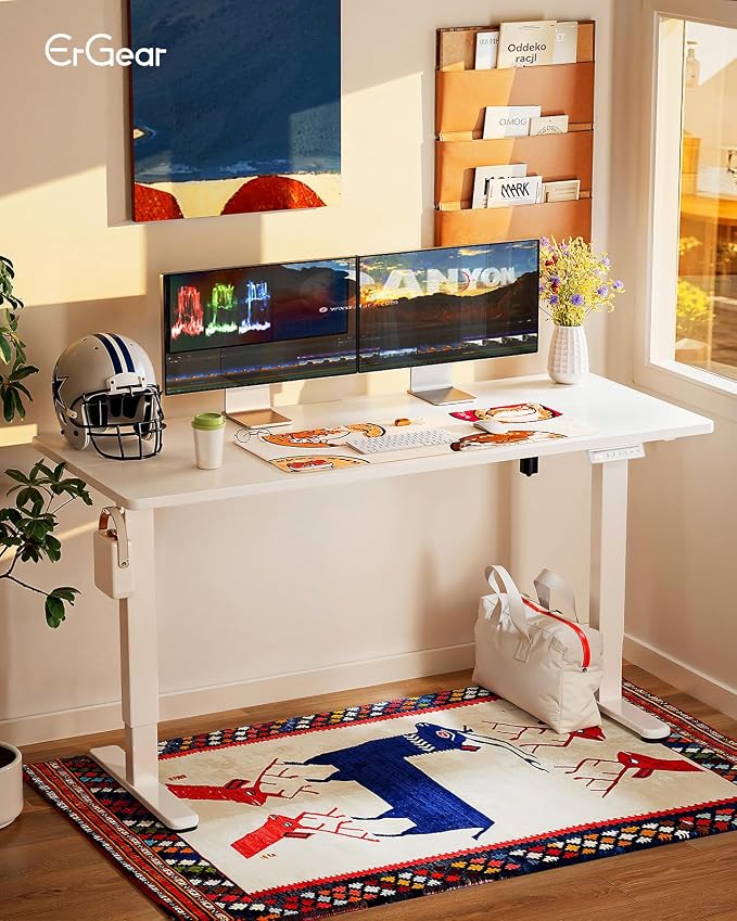 ErGear Height Adjustable Electric Standing Desk, 55 x 28 Inches Sit Stand up Desk, Memory Computer Home Office Desk, White