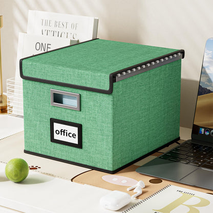 Huolewa File Organizer Box with Lid, Collapsible File Folder Organizer for Office Document Storage, Filing Box with Plastic Slide for Letter Size Hanging File Folders(1 Pack, Light Green)