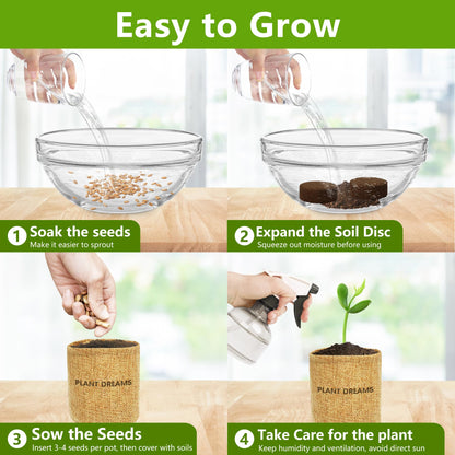 Bonsai Tree Kit, Bonsai Starter Kit with Seeds & Tools, Tree Live Plants Indoor, Gardening Gifts for Women Men Mom Father Plant Lover, Birthday Gifts for Women