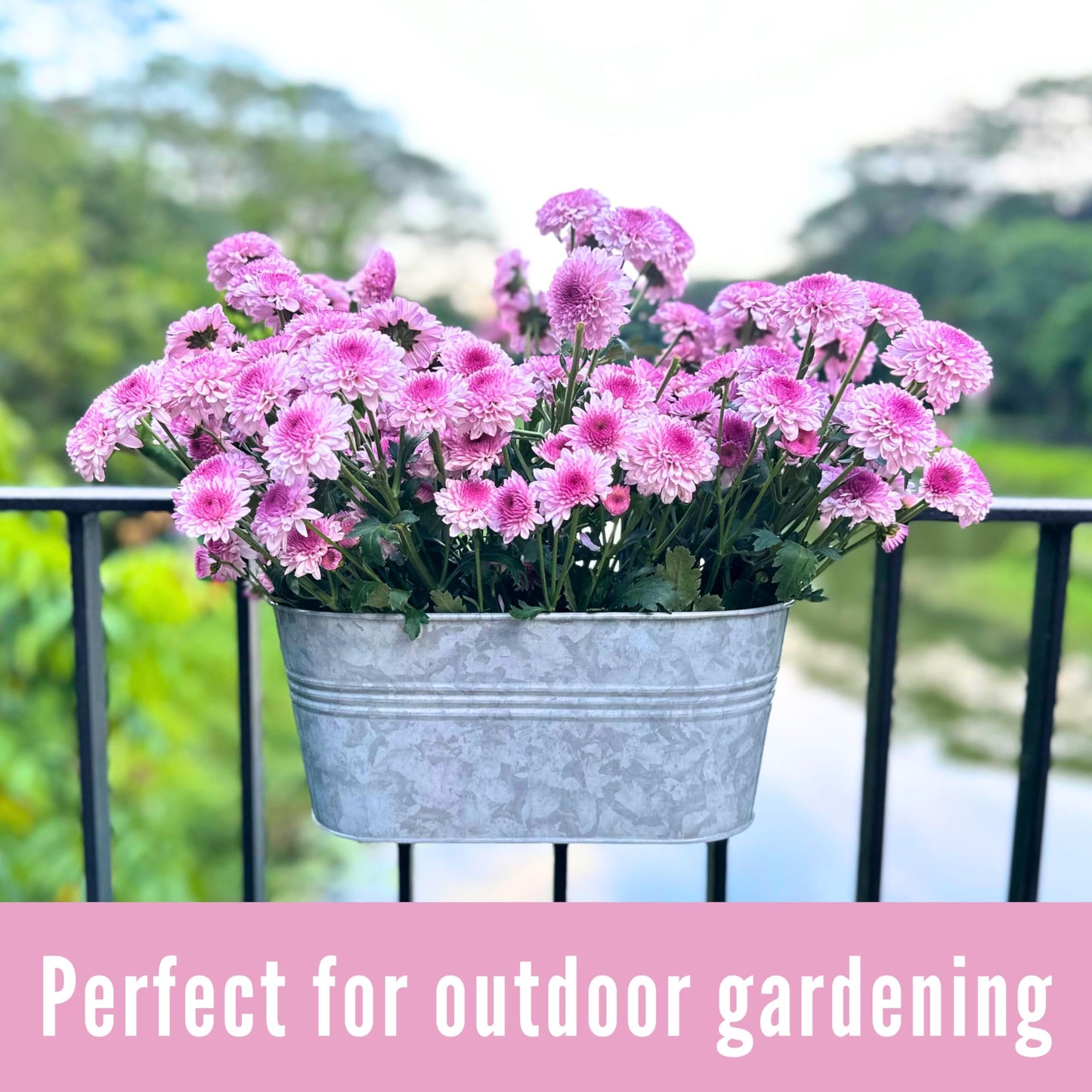 LaLaGreen Outdoor Rail Planter (11.2 Inch, 6 Pack) Silver Metal Iron Hanging Flower Pots Deck Railings Fence Buckets Modern Countryside Boho Style Wall Mount Window Box Plant Holder Hooks Porch Decor
