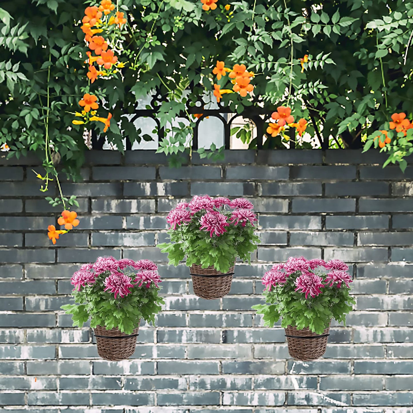 Wtiujhg 6 inch Flower Pot Holder Ring Wall Mounted Set of 4 Heavy Duty Metal Wall Plant Holder Plant Hanging Bracket Hanger for Outdoor/Indoor