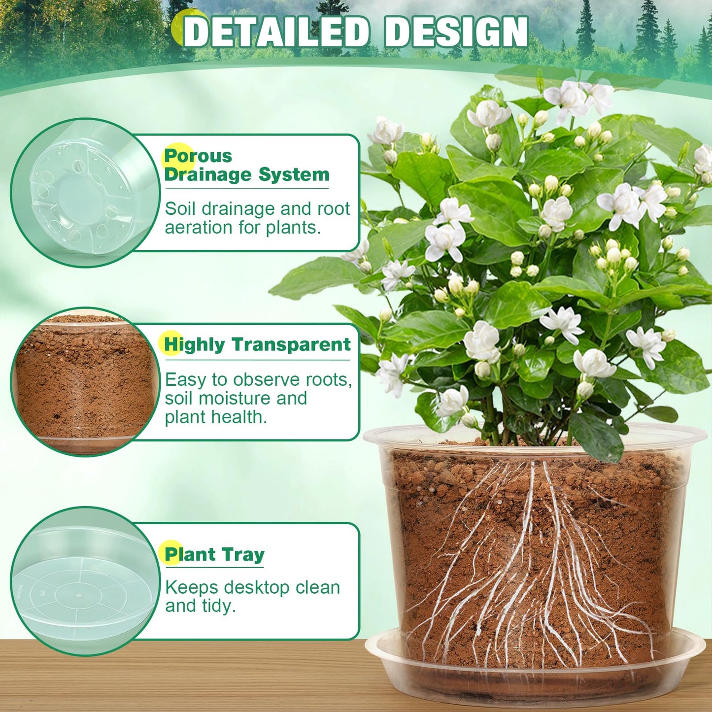 RAOOKIF 10/8/6/5 Inch Clear Nursery Pots with Drainage Hole and Saucers, 12 Pack Large Nursery Pots for Plants for Indoor Outdoor, Plastic Clear Plant Pots for Flowers, Succulents, Vegetables