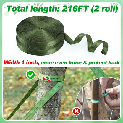 2,425 Lbs Strength Tree Straps - 216FT Tree Tie Support Straps for Staking, Green Blend in with Landscaping for Guying Young Trees Straight and Storm Protection, for Outdoor Plants, 1" Wide