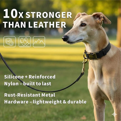 Silicone Dog Collar and Leash Set, Waterproof & Odor-Proof Puppy Collar for Small Dogs, Soft Flexible Leather-Look Dog Collars, Durable Thick Adjustable Pet Collar (Black, Medium (12.5-20" Neck))