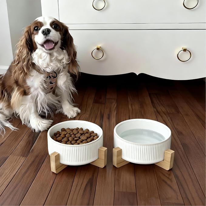 Elevated Ceramic Cat and Dog Double Bowl Set - 14 oz Lead-Free Feeder with Two Natural Bamboo Wood Stands (White Stripes)