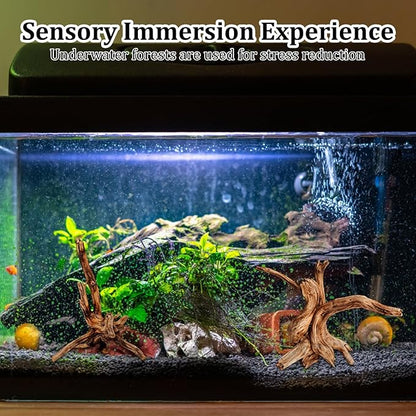 CZFSWT 2Pcs Driftwood for Aquarium, 3.93-5.9" Driftwood Decor, Drift Wood for Fishtank Suitable for Fish Tank Decorations and Reptile Habitats