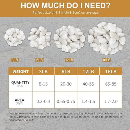 NUPICK 3lb White River Rocks for Plants Indoor, 2-3Inch White Pebbles for Vases Fillers, Decorative Gravel for Fish Tank, Natural Polished Stones for Succulent, Bonsai, Landscaping, Bird Baths