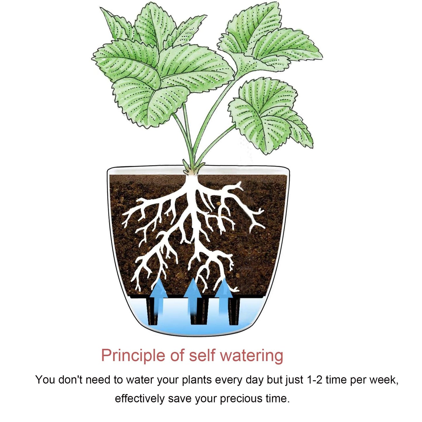 T4U Self Watering Planters Plastic 6 Inch White Set of 10, Plant Flower Pot Modern Decorative Seeding Nursery Pots Outdoor Indoor Garden for All House Plants Flowers Herbs African Violets