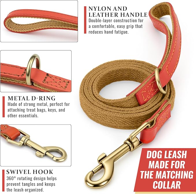 Dog Collar and Leash Set with Metal Quick Release Buckle, Adjustable, Breathable Nylon, Durable, Soft and Comfortable, No Pull for Walking and Training, Khaki, M (12.6"-19.6")
