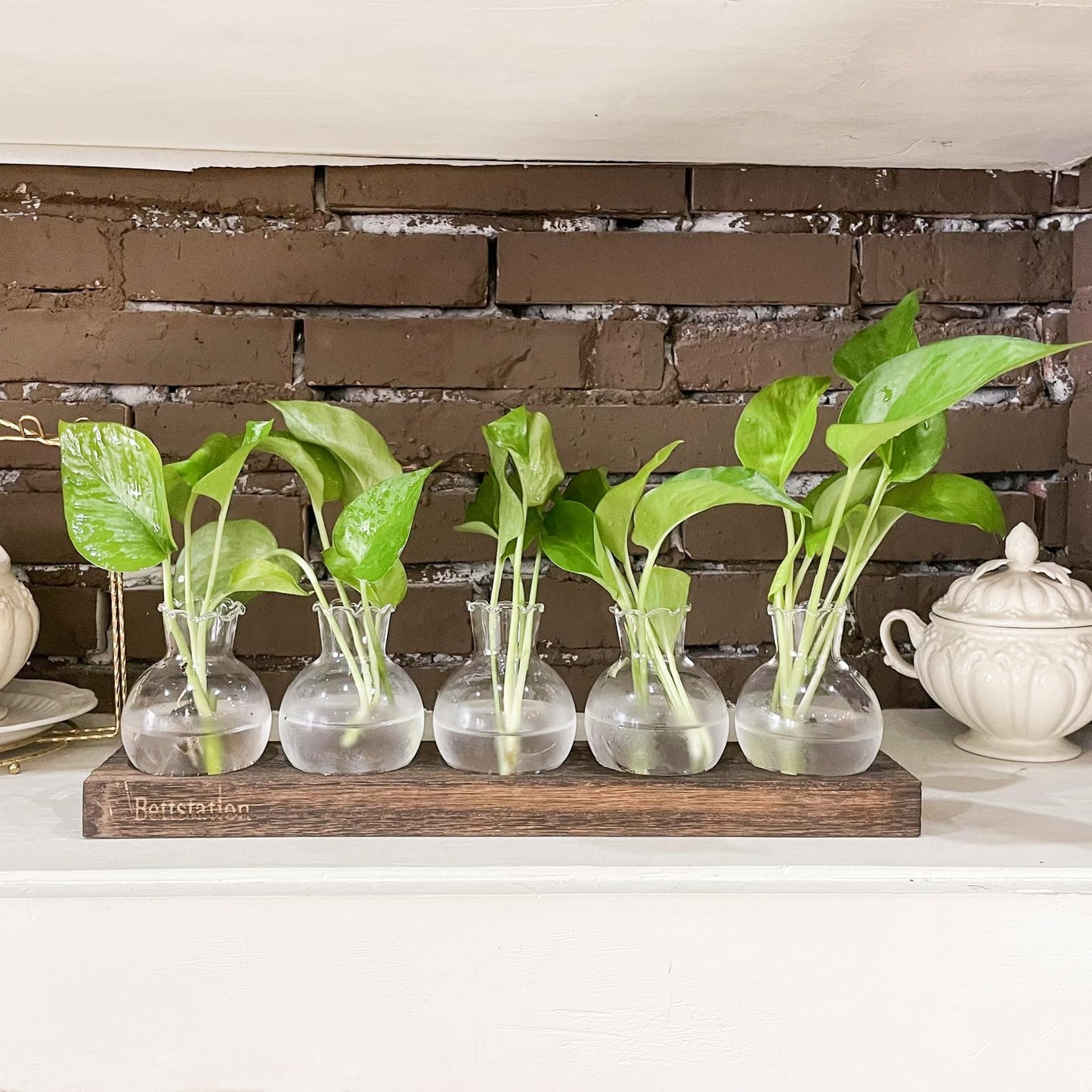 Bettstation Plant Propagation Station, Plants Terrarium with Wooden Stand 5 Bulb Houseplants Glass Vase for Hydroponic Plants Gift for Plant Lovers Home Office Decor
