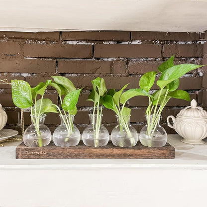 Bettstation Plant Propagation Station, Plants Terrarium with Wooden Stand 5 Bulb Houseplants Glass Vase for Hydroponic Plants Gift for Plant Lovers Home Office Decor