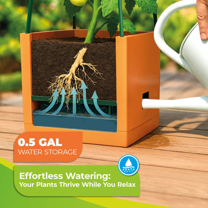 BioGreen 2 Pack Garden Tomato Planter MAXITOM, with Plant Support Trellis 59 inch and Self Watering, 4,2 Gal Planter Box for Climbing Vegetables Plants, Terracotta