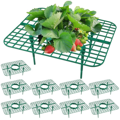 Richaa 10 Pcs Square Strawberry Plant Support, Strawberry Plants Holder with 4 Legs, Strawberry Plant Protector for Garden Growing Kit